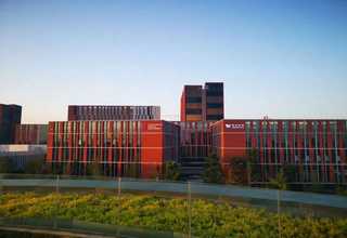 成都小龙虾拌饭酱批发